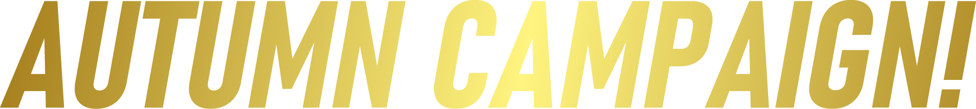 campaign