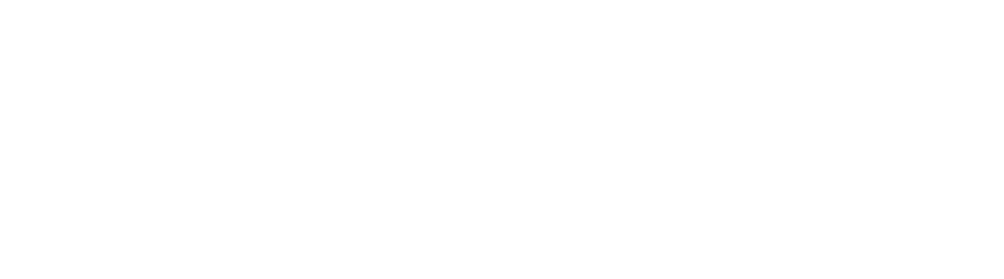 Reason 05 CORPORATE PLAN