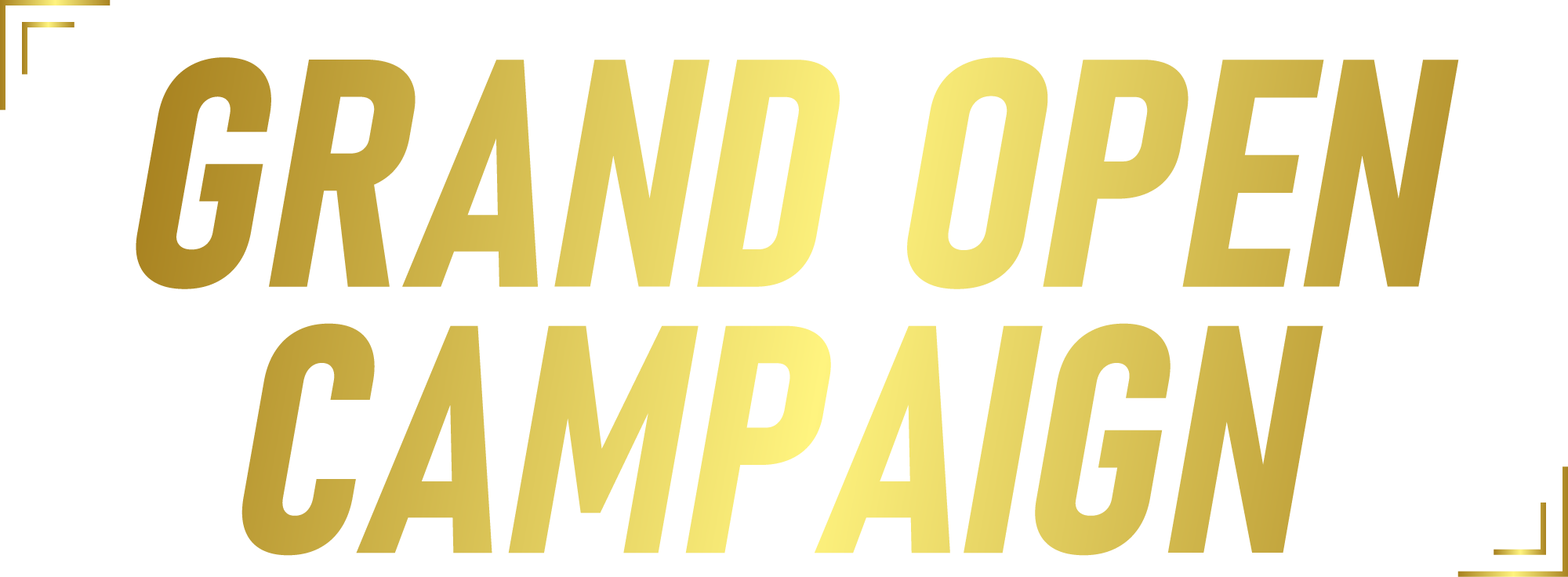 campaign