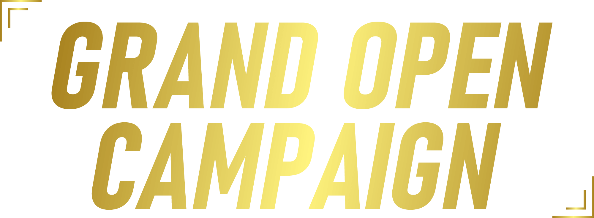 campaign